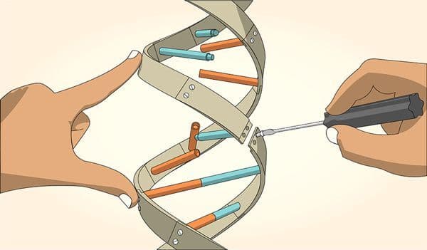 CRISPR for the Masses: Will Genetic Engineering Become DIY?