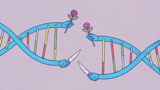 The Chemistry of Love: What Happens in Your Brain When You Fall for Someone